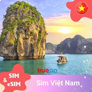 Sim Viet Nam 15 Ngày x 5G/Ngày (Vina)
