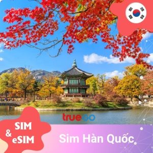 Sim và eSIM Hàn Quốc (Korea)